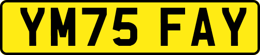 YM75FAY