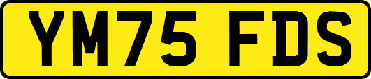 YM75FDS
