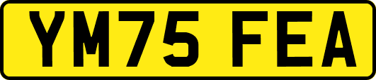 YM75FEA