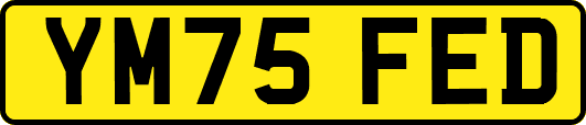 YM75FED