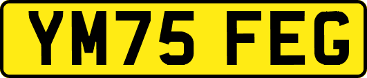 YM75FEG