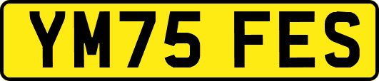 YM75FES