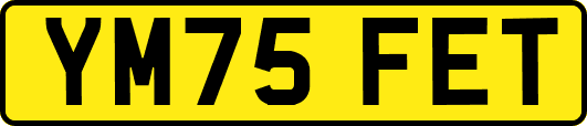 YM75FET