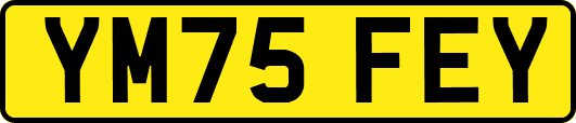 YM75FEY
