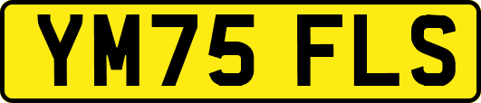 YM75FLS