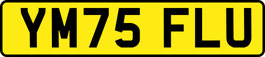 YM75FLU