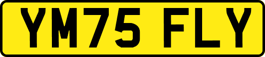 YM75FLY