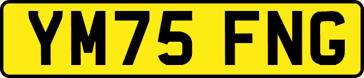 YM75FNG