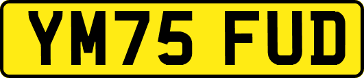 YM75FUD