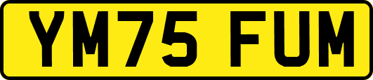 YM75FUM