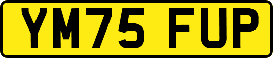 YM75FUP