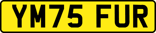 YM75FUR