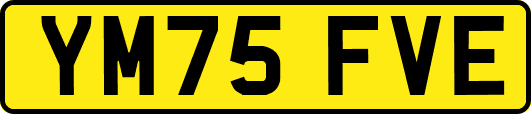 YM75FVE
