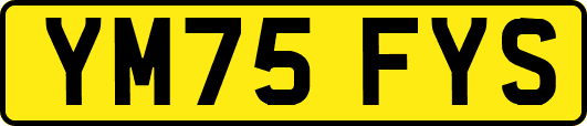YM75FYS