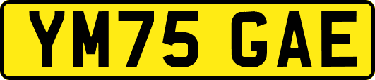 YM75GAE