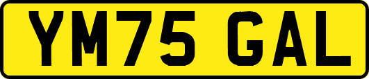 YM75GAL