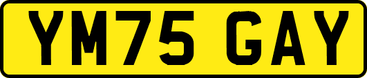 YM75GAY