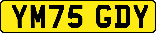 YM75GDY