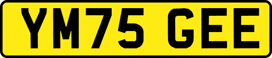 YM75GEE