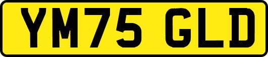 YM75GLD