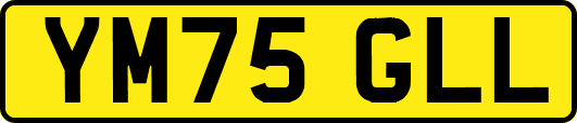 YM75GLL