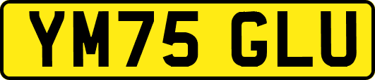 YM75GLU