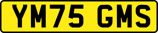 YM75GMS