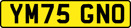 YM75GNO