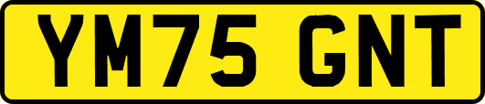 YM75GNT