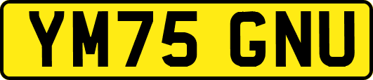 YM75GNU