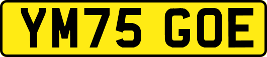 YM75GOE
