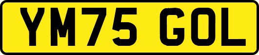 YM75GOL