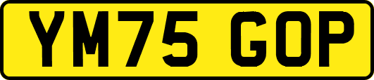 YM75GOP