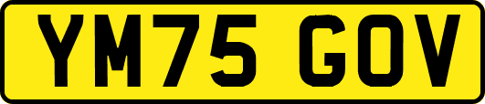 YM75GOV