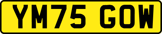YM75GOW