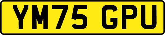 YM75GPU