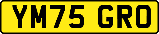 YM75GRO