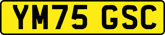 YM75GSC
