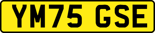 YM75GSE