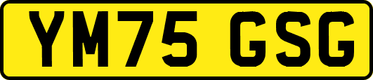 YM75GSG