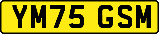 YM75GSM