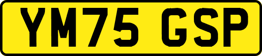 YM75GSP