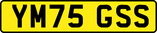 YM75GSS