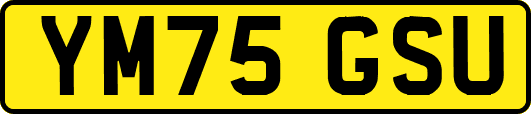 YM75GSU