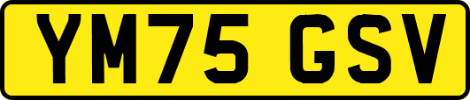 YM75GSV