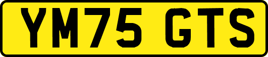 YM75GTS
