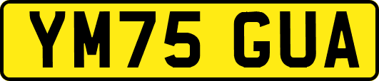 YM75GUA
