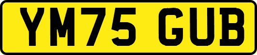 YM75GUB