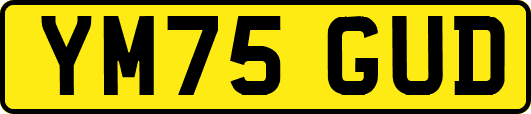 YM75GUD
