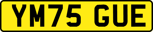 YM75GUE